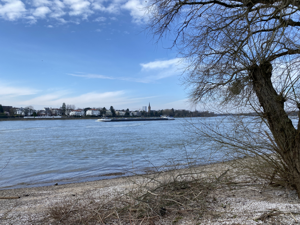 2024-03-03 Rhein 0054 k.JPG